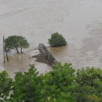 Минсельхоз оценил ущерб сельхозпредприятий Приморья от наводнения в 2,4 млрд рублей