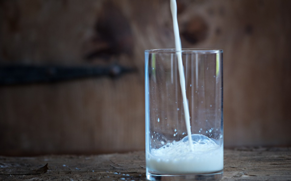 В Приморье надои молока выросли на 3,2%