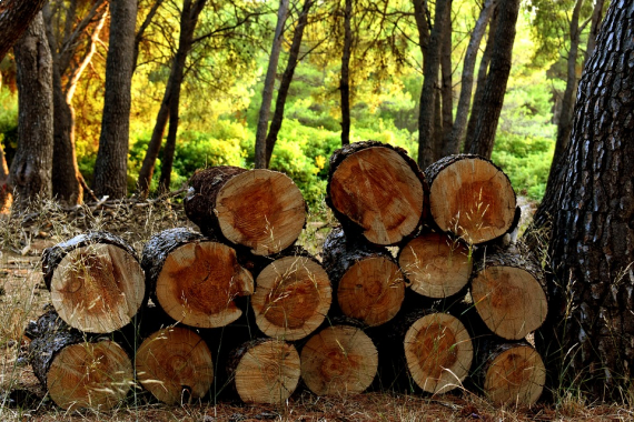 ЮниКредит Лизинг профинансировала лесовозные платформы, произведенные Объединенной Вагонной Компанией для ООО «Лузалес