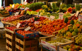В Приморье появится новый сельскохозяйственный рынок