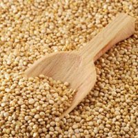 Отмены вывозной пошлины на пшеницу просят экспортеры зерна.