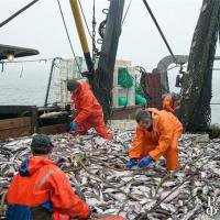 В Приморье состоится очередной Конгресс рыбаков