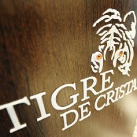 Казино Tigre de Cristal за 3 месяца пополнит бюджет Приморья на 110 млн рублей