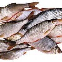 В Приморском крае выросла стоимость рыбы на 28%