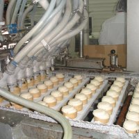 Производство мороженого в Приморье в 2015 году увеличилось на 1,5 процента