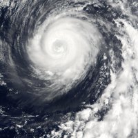Глава МЧС рассказал об оценке ущерба от тайфуна в Приморье