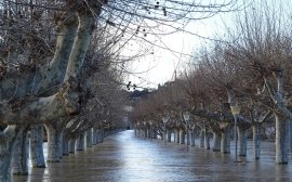 Уссурийск получит 20 млн рублей на защиту от наводнений‍
