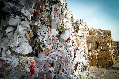 В Приморье запустили первый сортировочный комплекс по переработке мусора