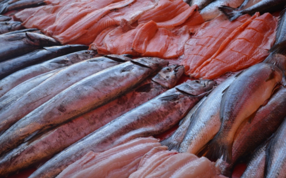 В Приморском крае оборот предприятий рыбной отрасли увеличился на 25%