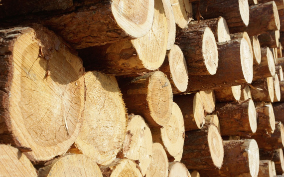 В Приморье экспорт лесных грузов через пункт пропуска Гродеково – Суйфэньхе стабильно увеличивается