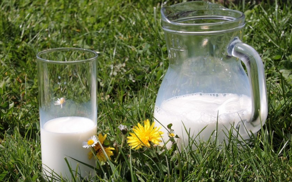 В Приморье молоко хотят экспортировать в Китай по трубопроводу