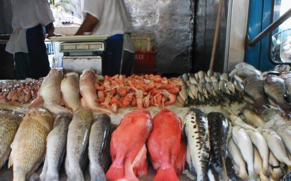 Во Владивостоке построят рыбный рынок