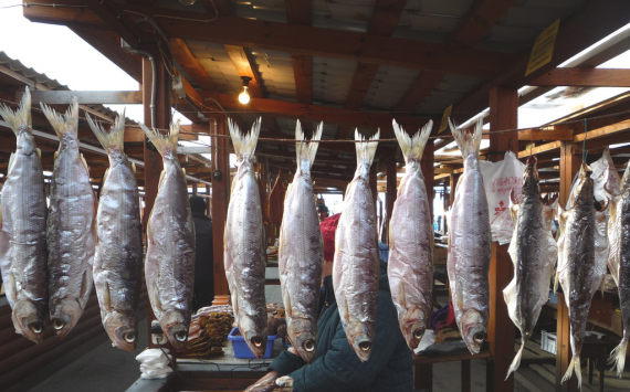 ФАС обвинила власти Приморья в навязывании цен на рыбу